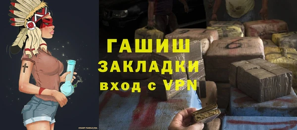 крисы Мегион