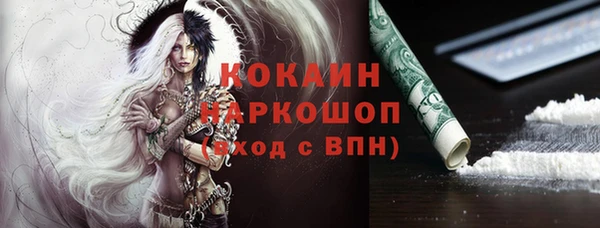 крисы Мегион