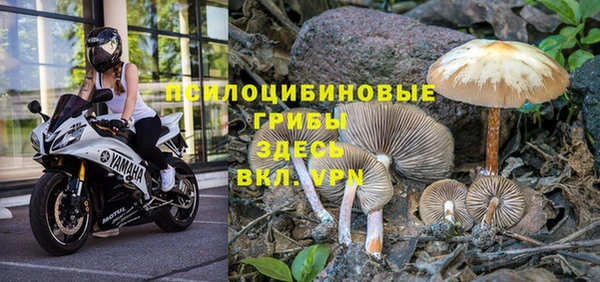 крисы Мегион