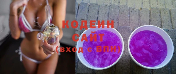 крисы Мегион