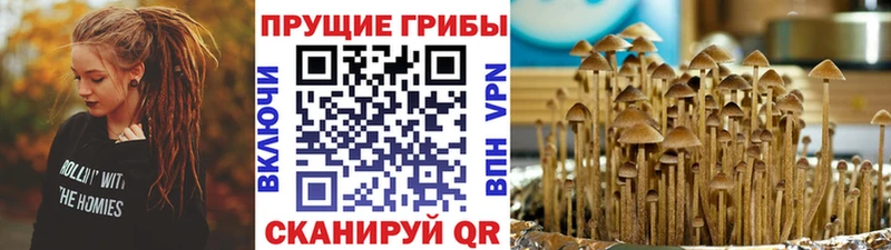 mega   купить наркоту  Беслан  Псилоцибиновые грибы MAGIC MUSHROOMS 